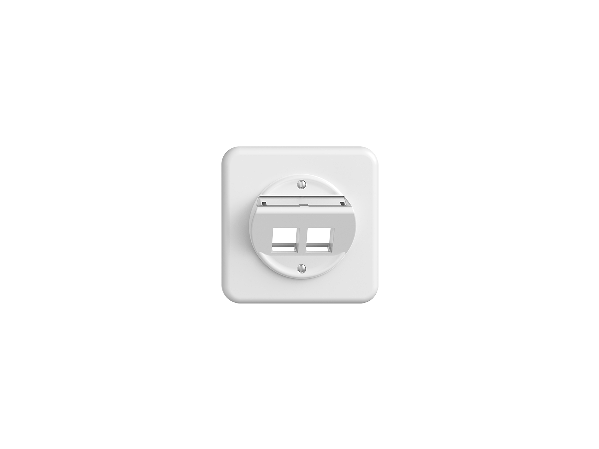 Feller Boît.encastré STANDARD.liv - 2 ports, blanc inclinés pour RJ45 (KS)