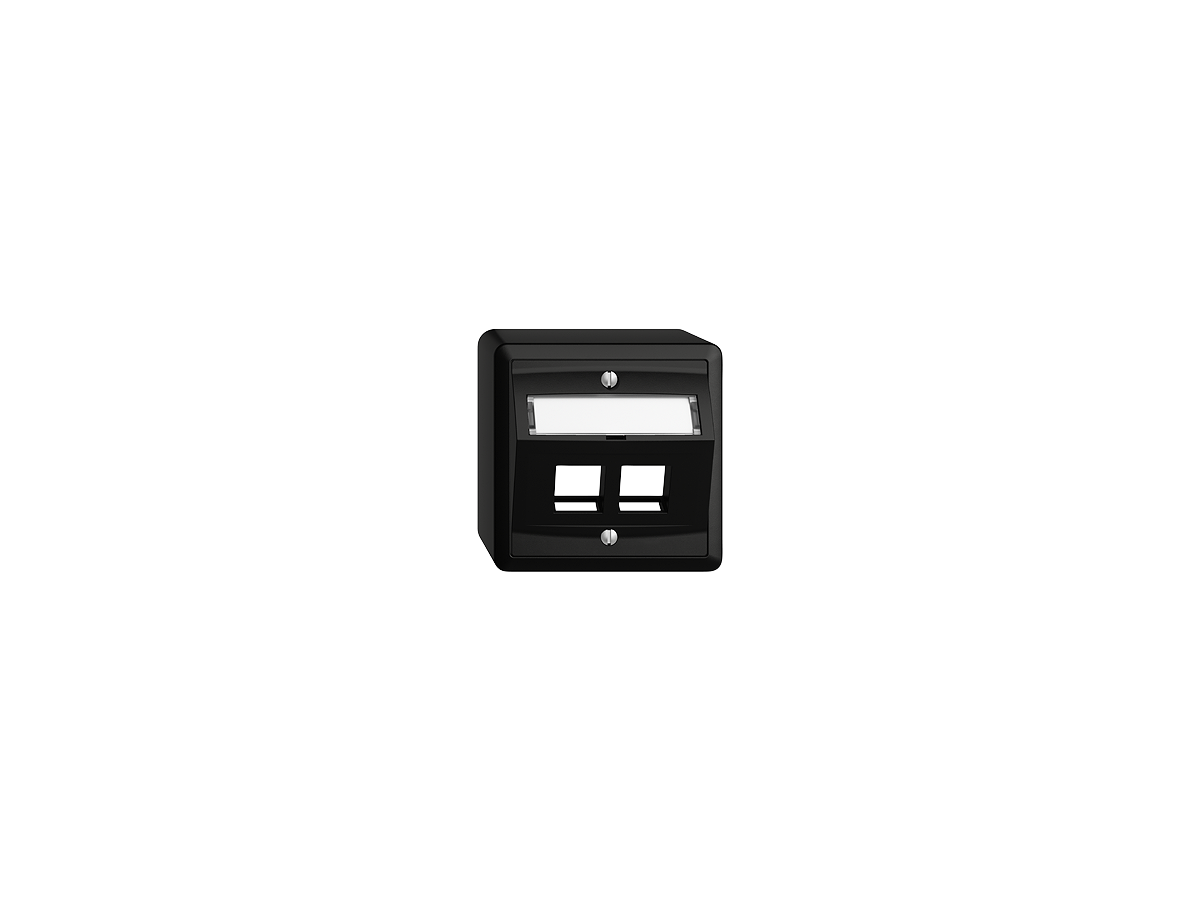 Feller Boîtier apparent EDIZIOdue, - 2 ports noir inclinés pour RJ45 (KS)